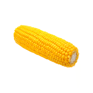 Sweet Corn